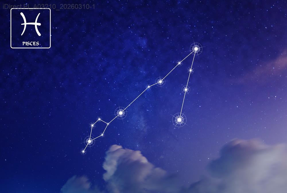 當星座緣分出錯：我如何化解不合的神秘小秘方？